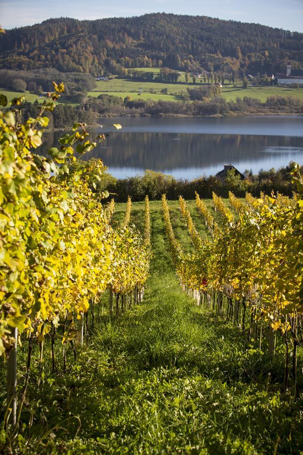 Weingut Georgium Bed & Breakfast Sankt Georgen am Längsee Exterior foto